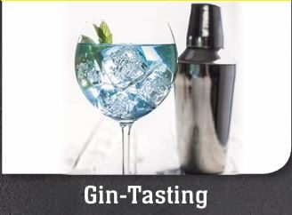 Gin Tasting Blaues Drinkglas mit Eis und Cocktailshaker, dekoriert mit Minzblättern.